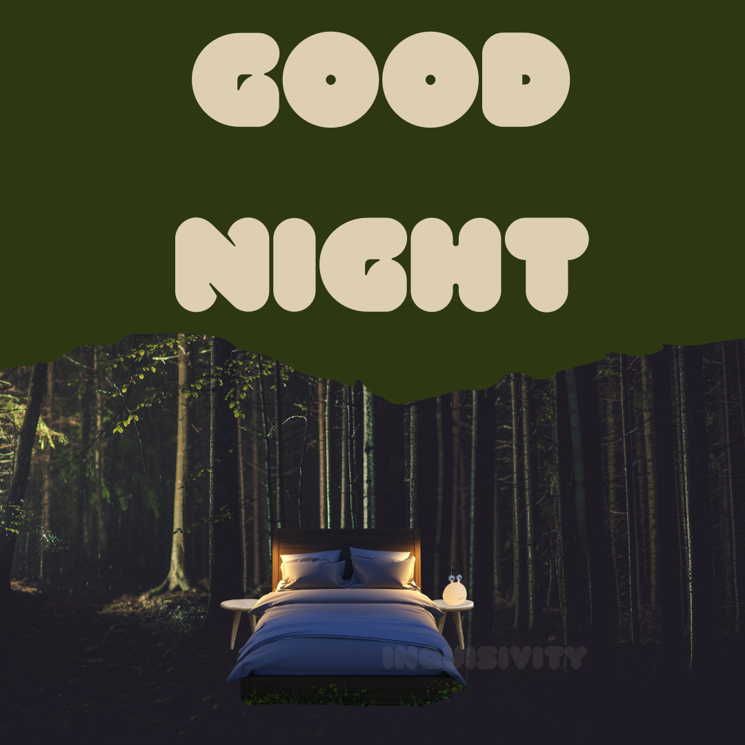 Slug Night Light